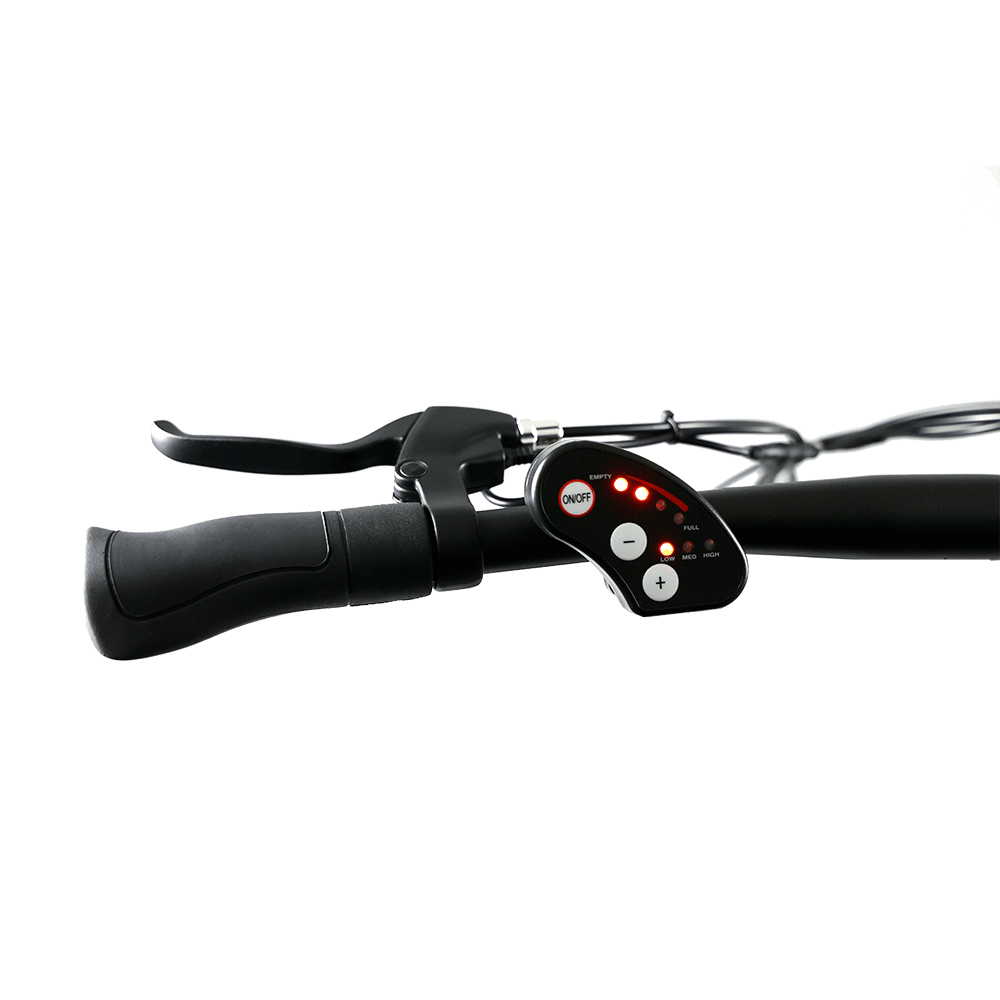 Fat Bike VF19